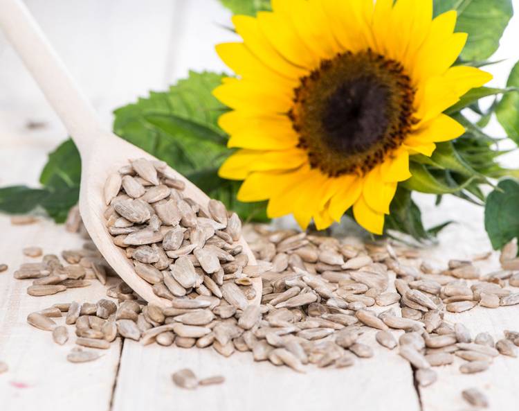 Vitamin E