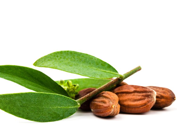 Jojoba Oil