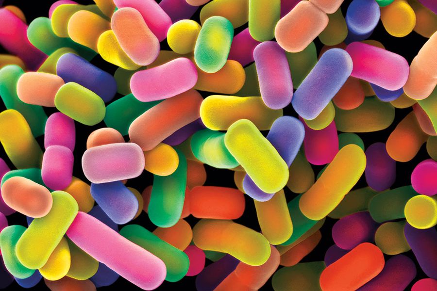 ScienceSource SS21992516[1]