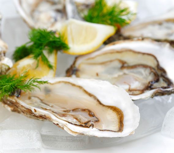 oysters