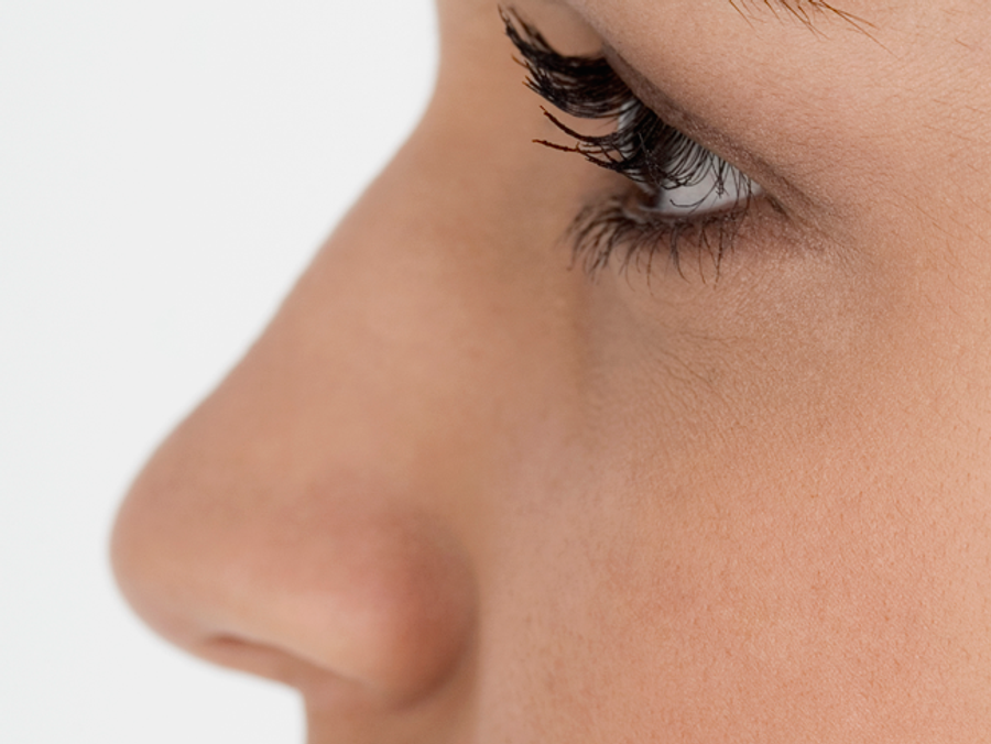 nose Main Newbeauty