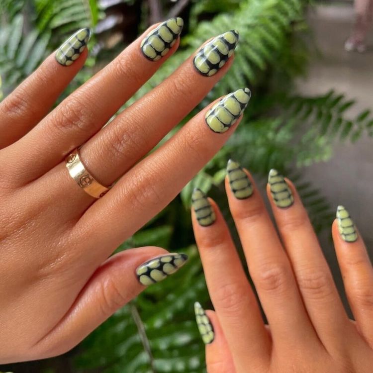 Crocodile Print