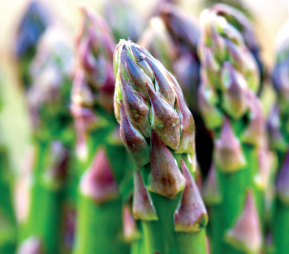3. Asparagus
