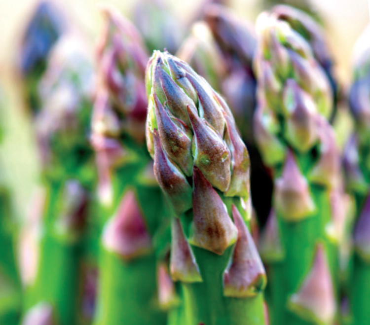 3. Asparagus