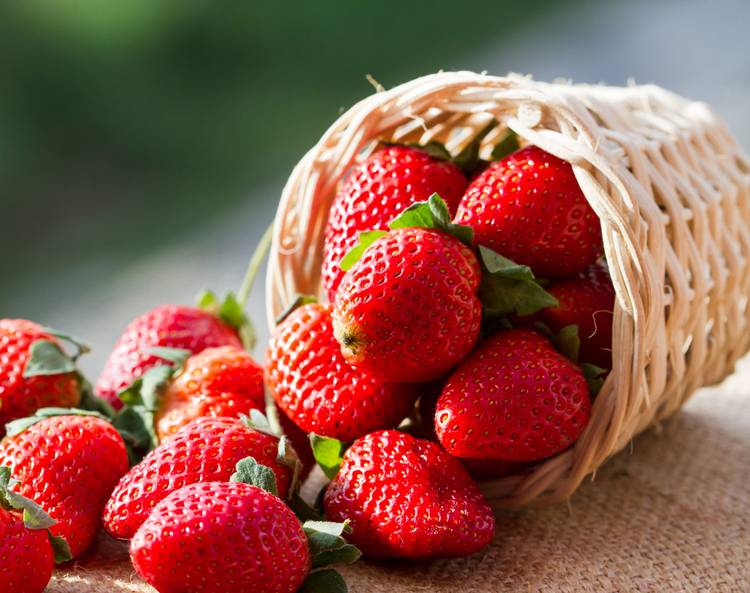 strawberries