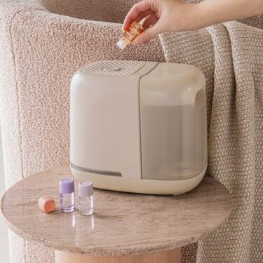 canopy-being frenshe-humidifer