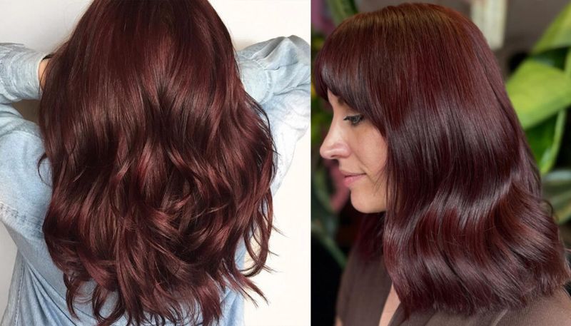 chocolate cherry hair color
