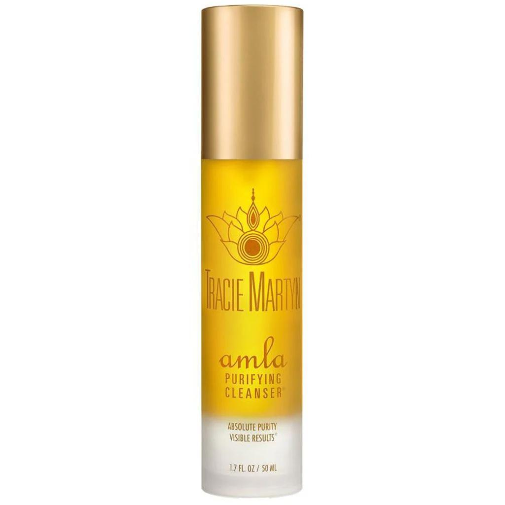Tracie Martyn Amla Purifying Cleanser