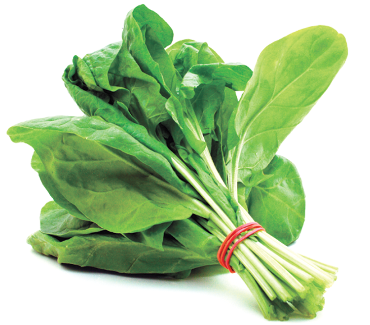 Diet Do