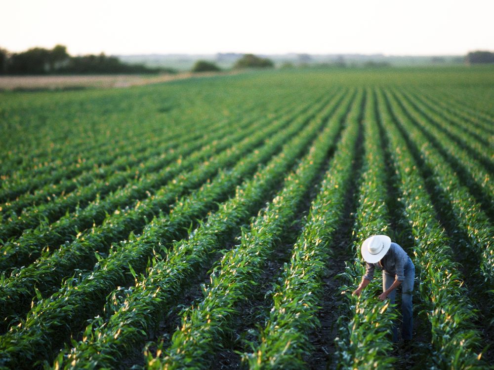 A Guide to Biodynamic Farming and How Your Skin Care Can Benefit