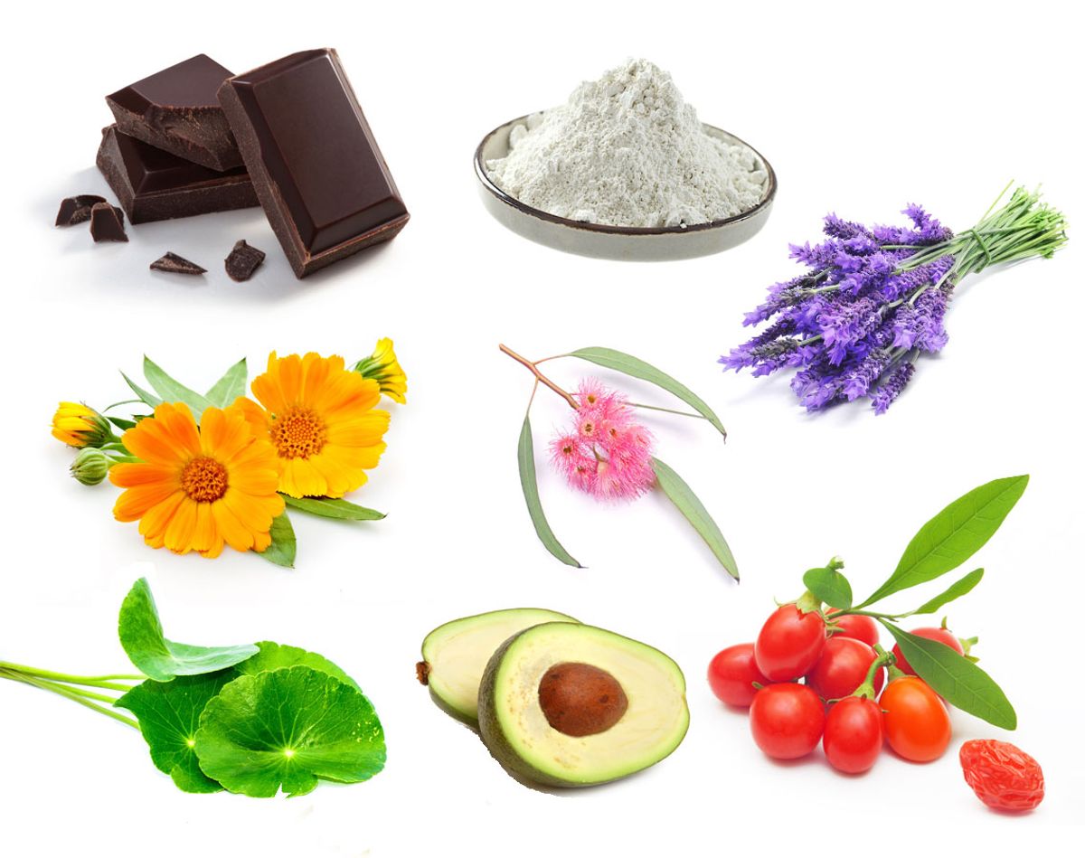 key Ingredients Intro