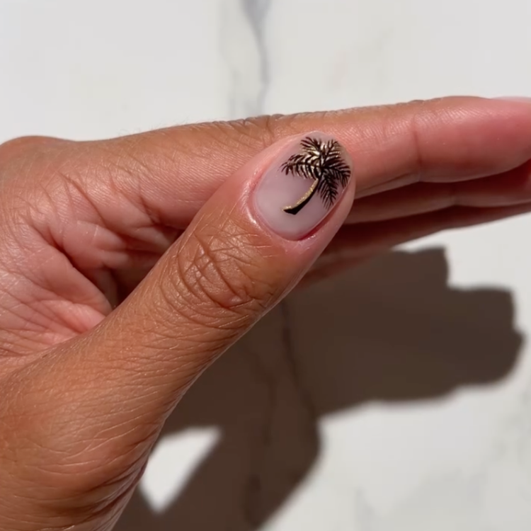 Palm Perfection