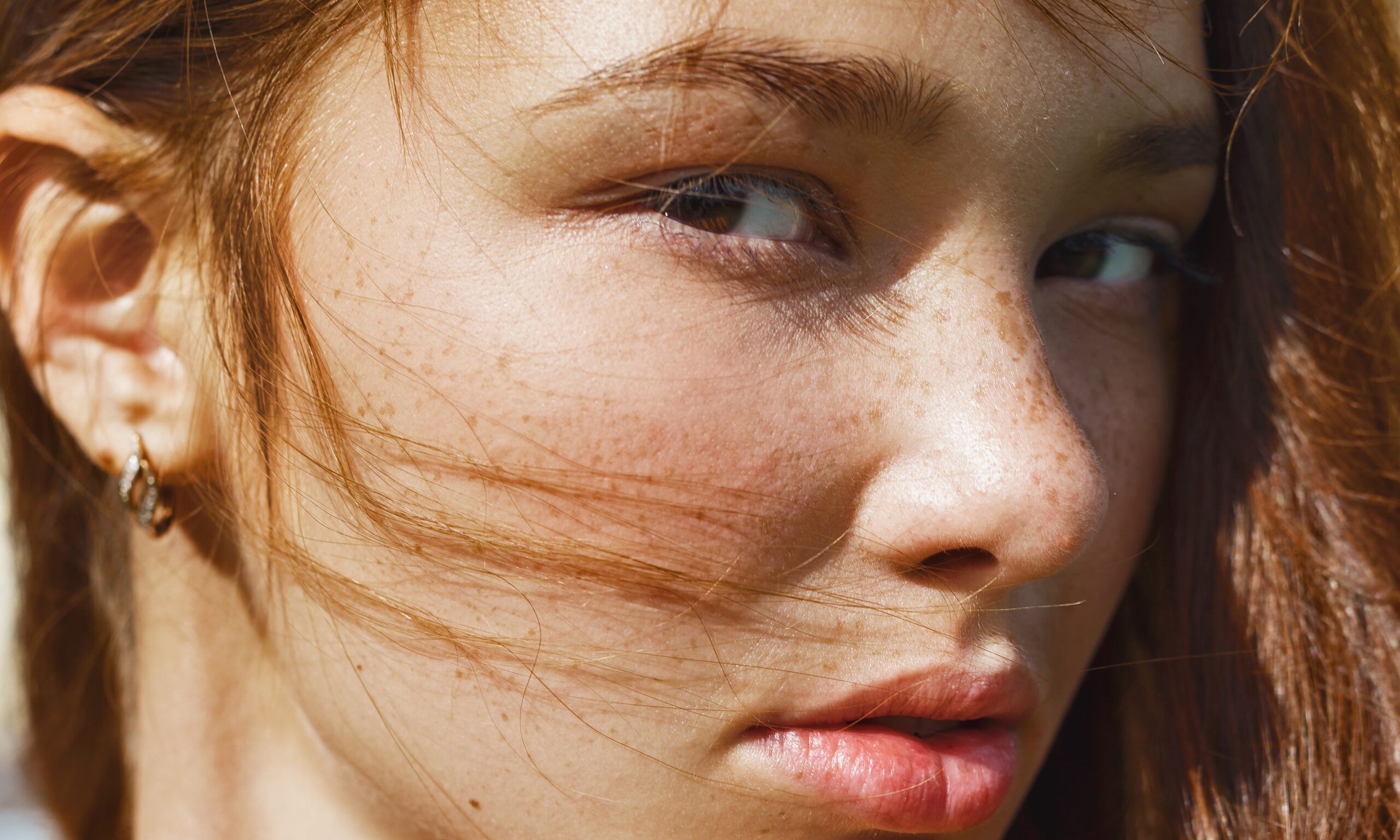 ilia friends family sale 2024