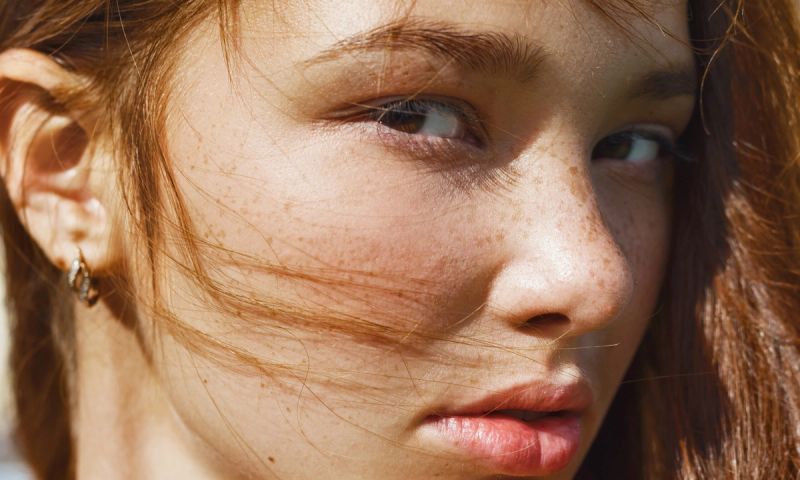 ilia friends family sale 2024