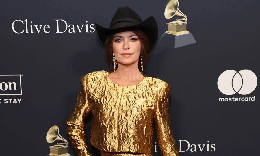 shania twain makeup remover