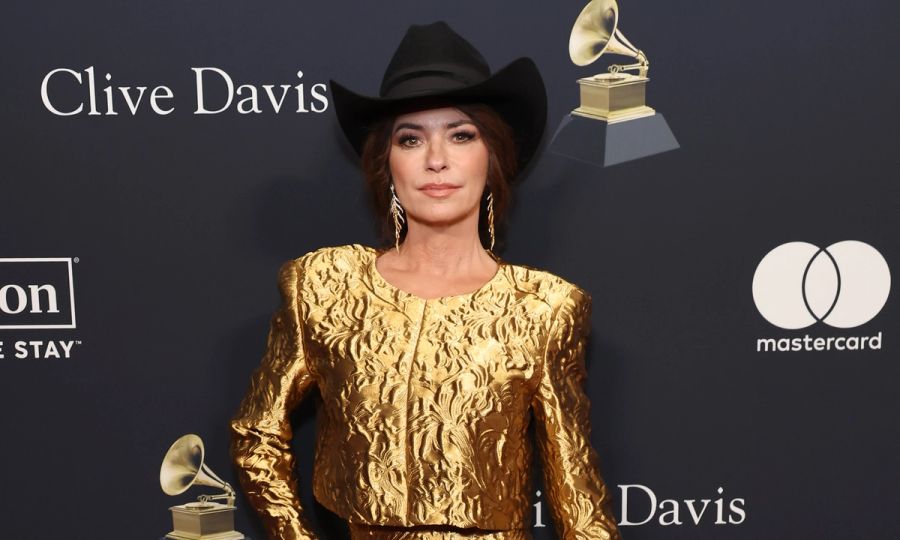 shania twain makeup remover