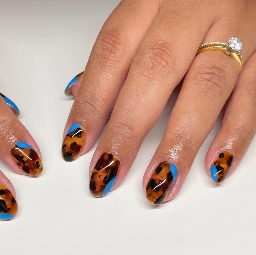 Tortoise &amp; Tiffany Blue