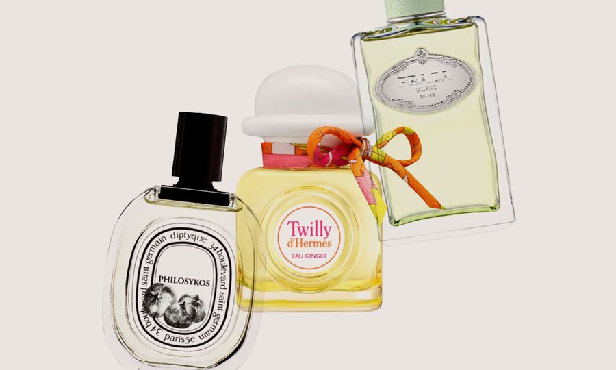 perfumes for gemini season