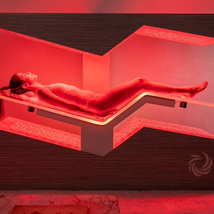 Ammortal chamber