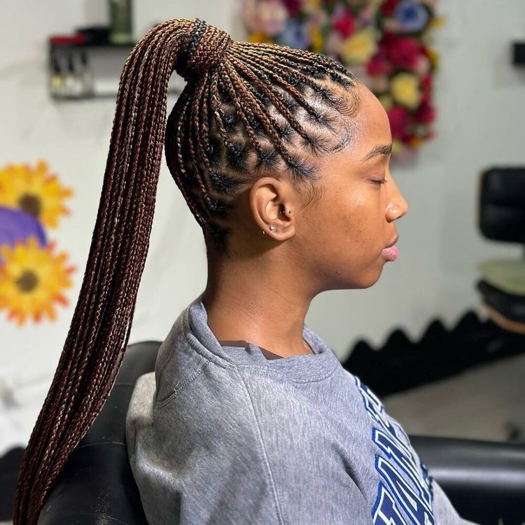 Box Braids Ponytail