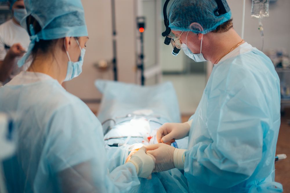 shutterstock 709328995