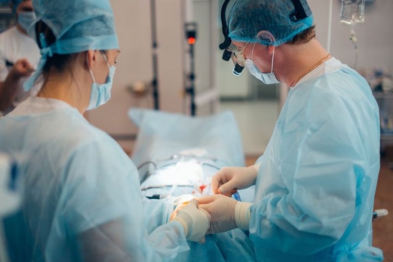 shutterstock 709328995