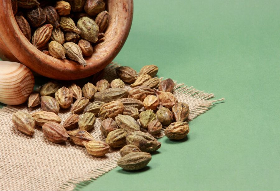 Chebula Is a New Skin-Care Ingredient With an Ancient Past