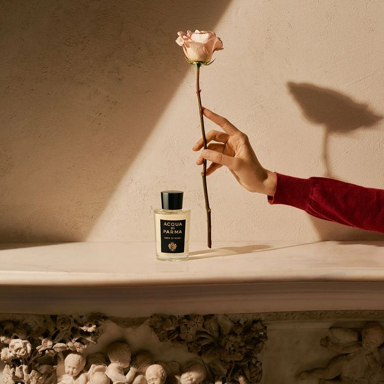 Acqua di Parma Luce di Rosa Eau de Parfum ($350)