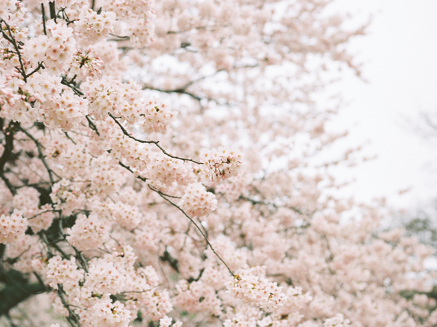 6 Gifts That Are Good for You and The Environment