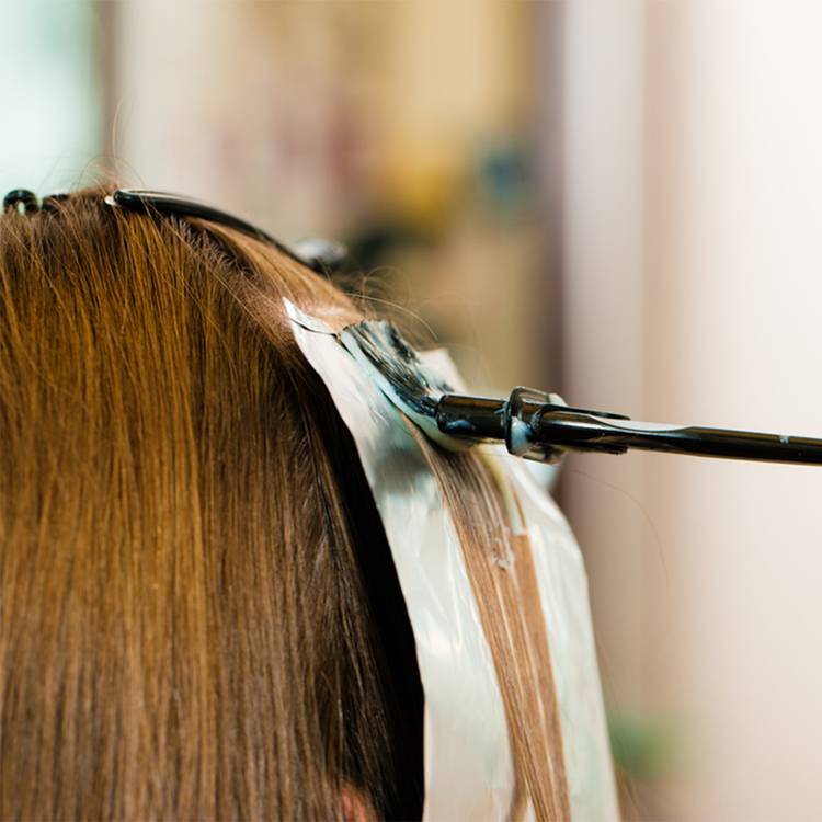 highlights