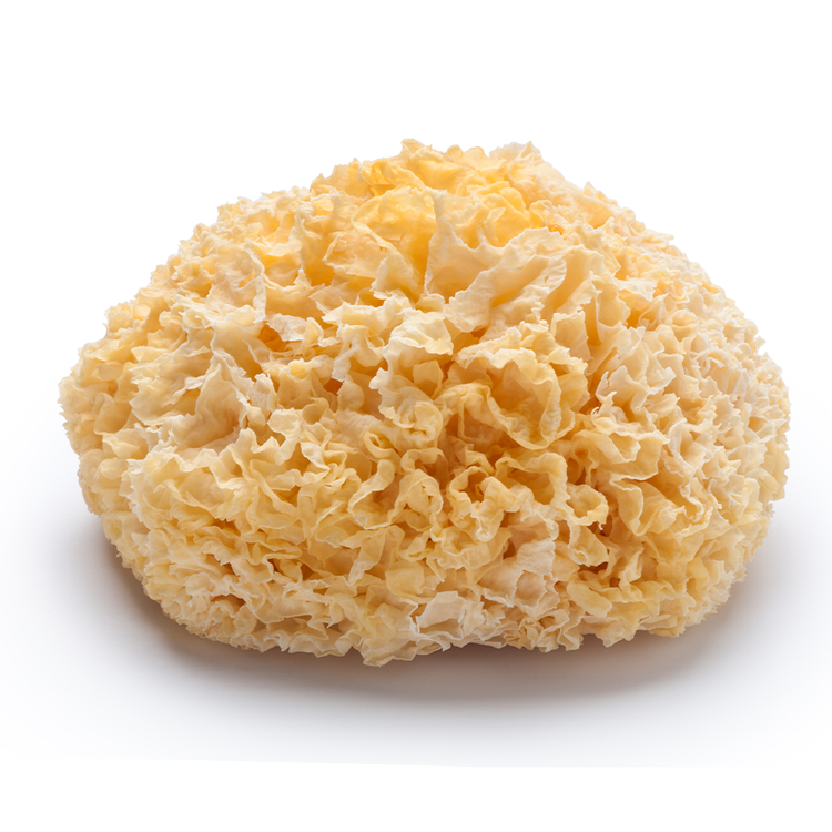 Tremella