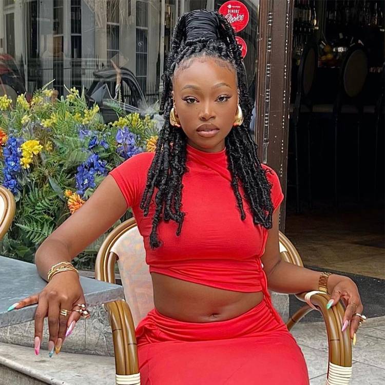 Butterfly Loc Ponytail