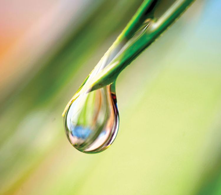 Dehydrated, Thirsty Skin