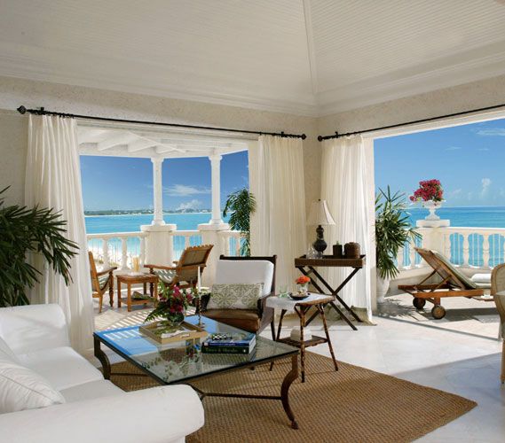 Queen Conch Shell Scrub