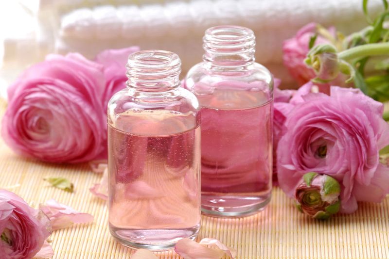 Dry Oil Vs. Wet Oil What’s The Difference 