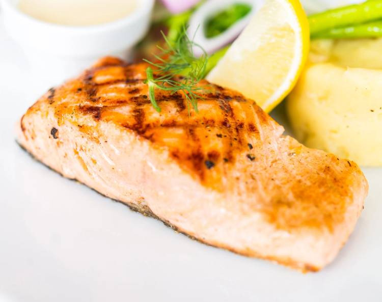 Salmon