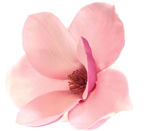 Anti-Aging Treatment