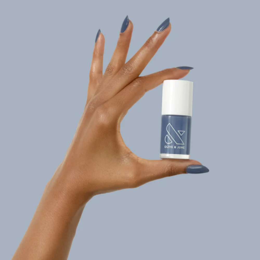 Olive &amp; June Social Studies ($9)