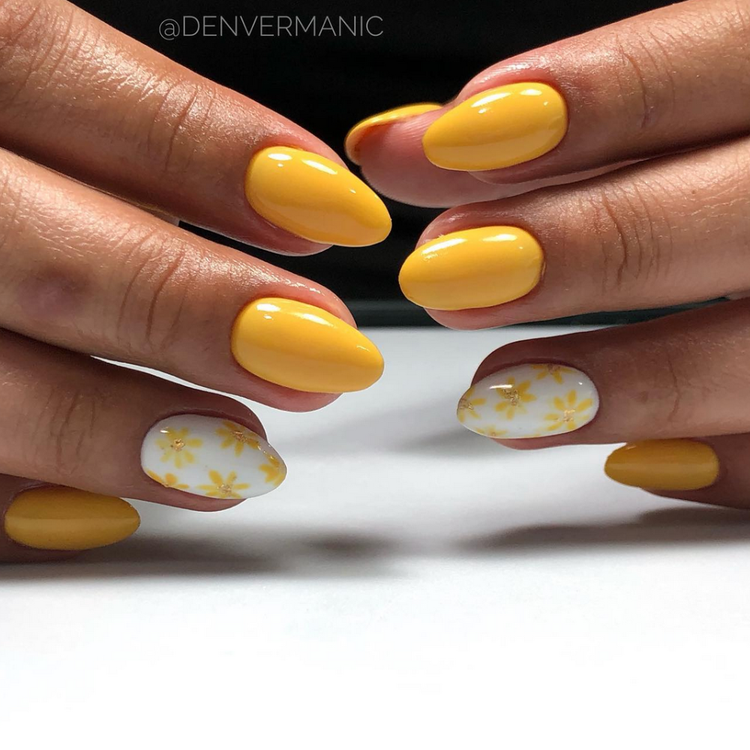 Featuring Daisies