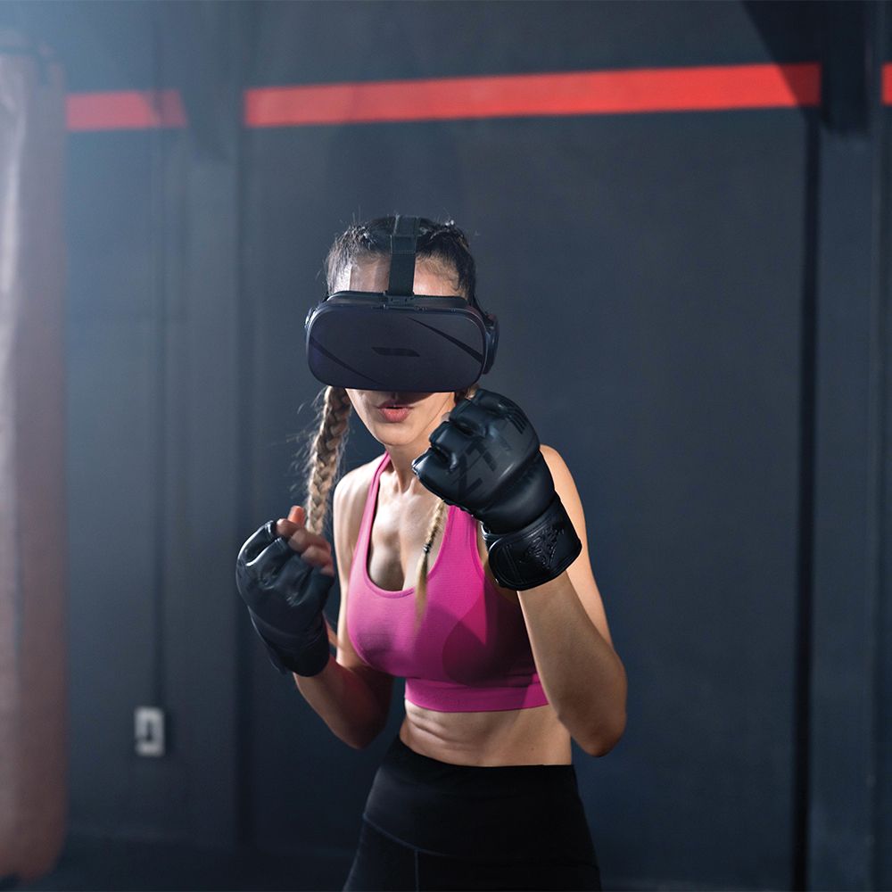 VR (Virtual Reality)