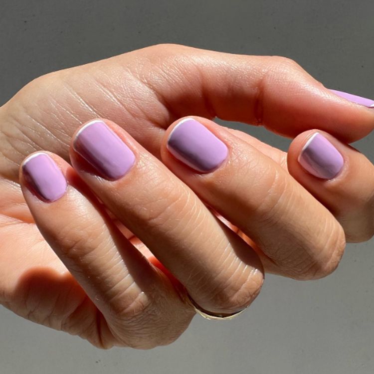 Lush Lavender