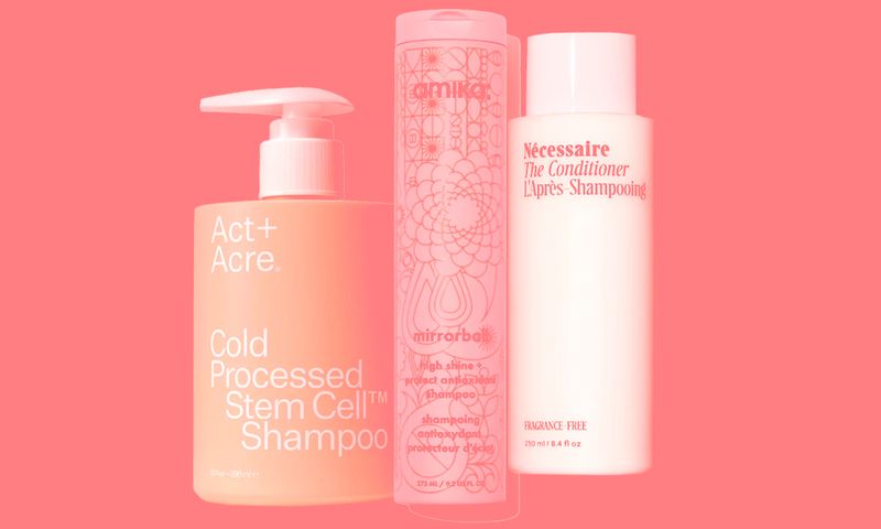 hair products with antioxidants in them