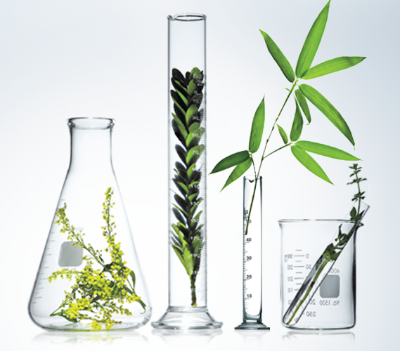 OPENER PREVENT ACNE SCARS