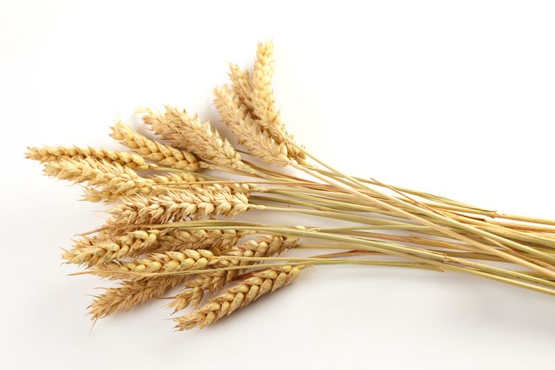 shutterstock 129547370