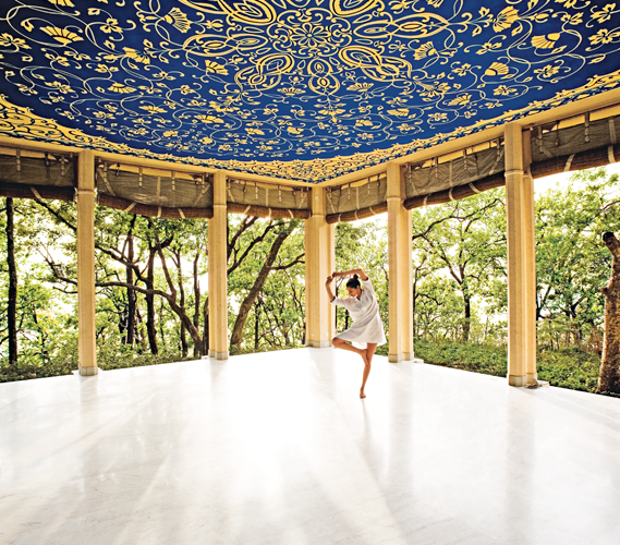 Ananda in the Himalayas