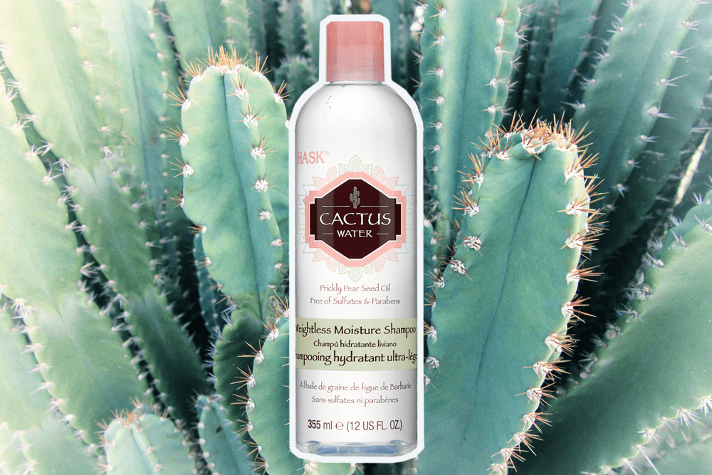 haskcactusshampoo 1