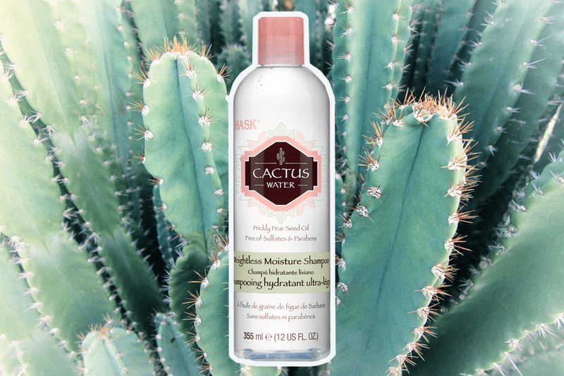 haskcactusshampoo 1