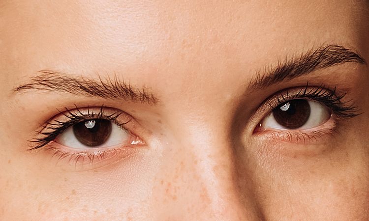 extreme close up of female brown eyes with clear skin eyebrows eyelashes and freckles looking at camera
