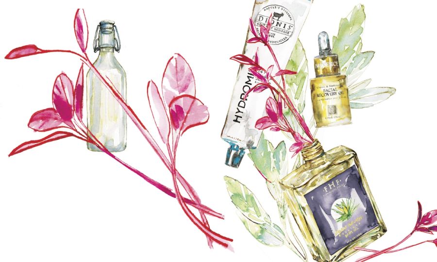 illustrations of farm forward beauty