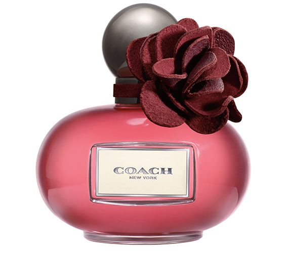 The Scent: